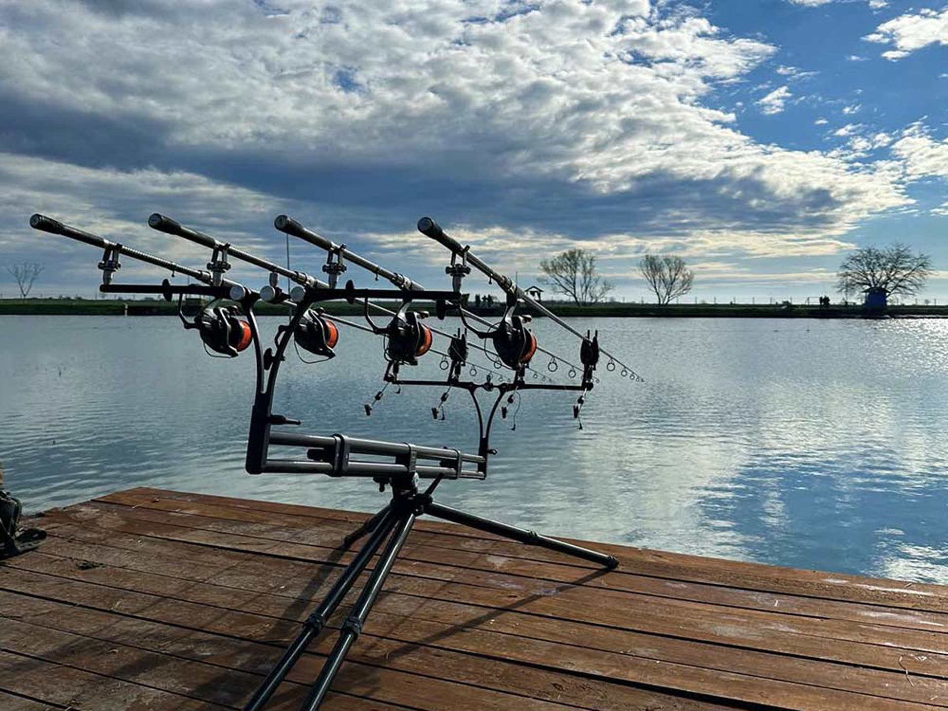 Rods on the swim